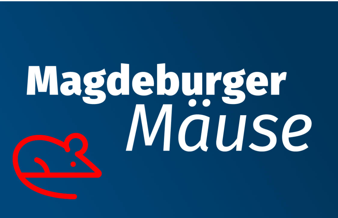 Magdeburg title image