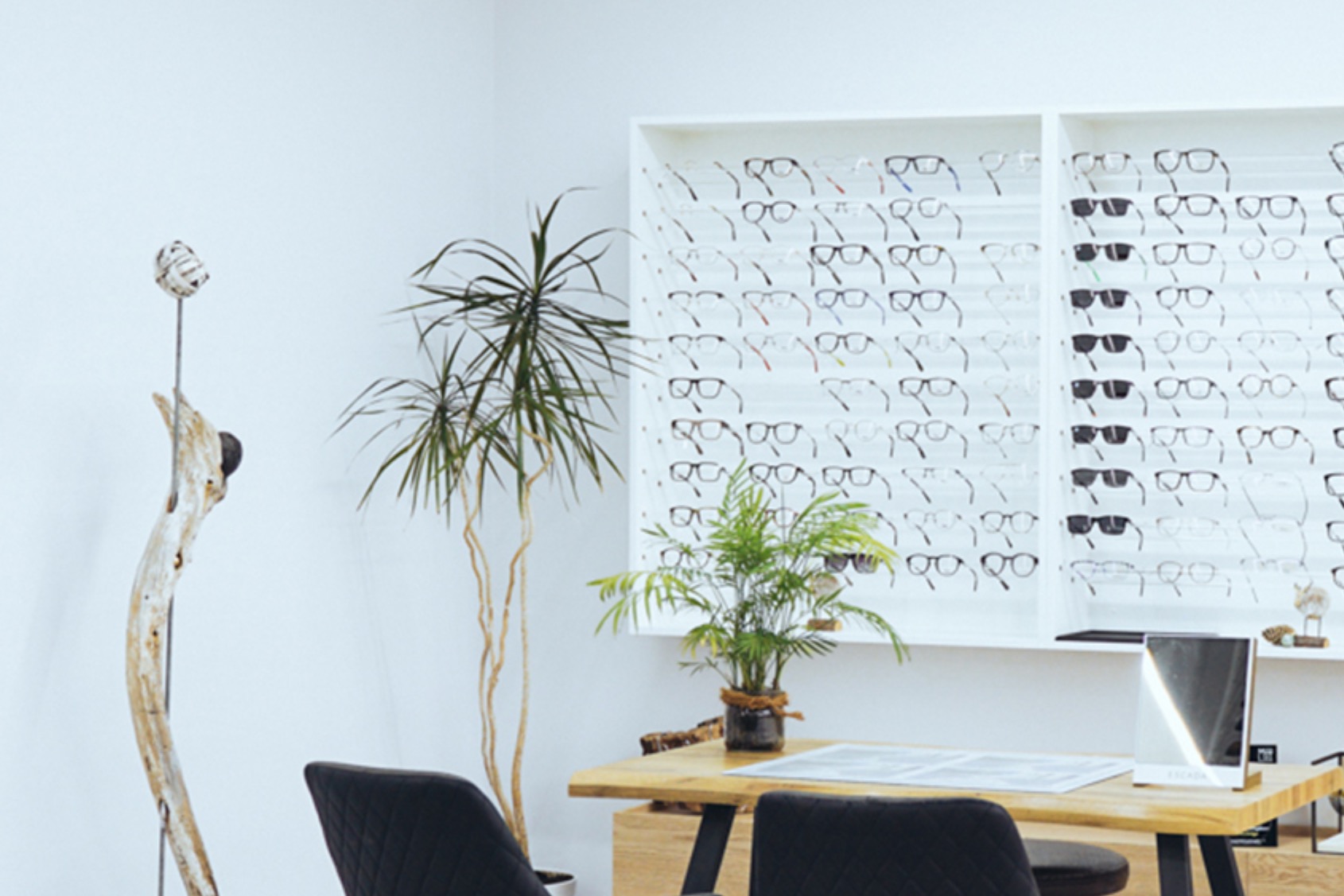 Optik Bertleff