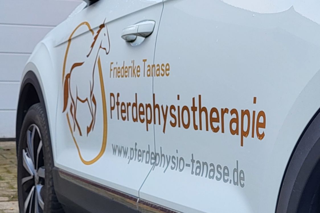 Pferdephysiotherapie Tanase title image