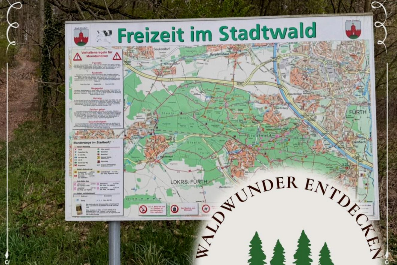 Waldwunder Entdecken