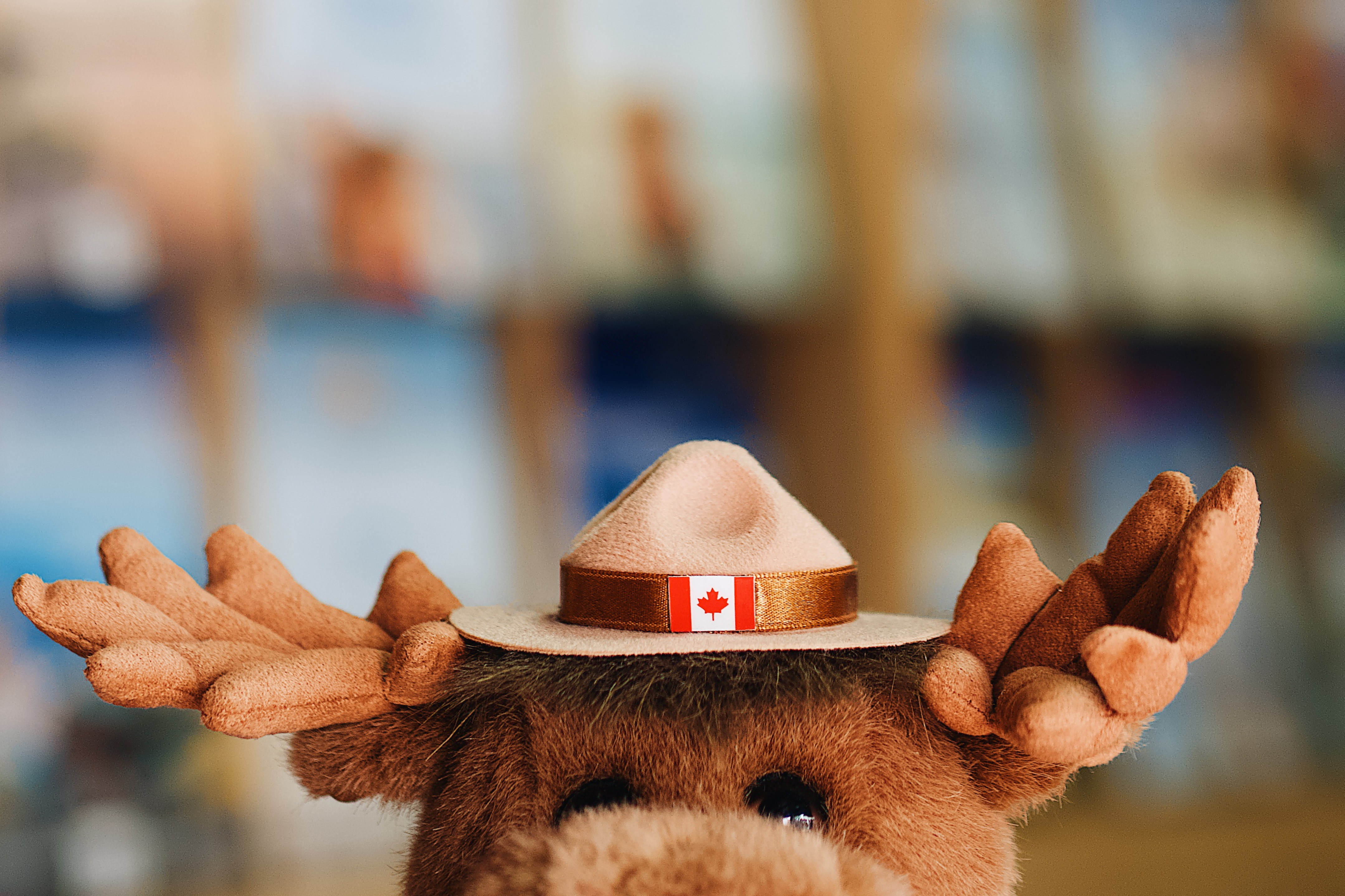 4 you Tours & 4 you Shop, Renata Vojtechova