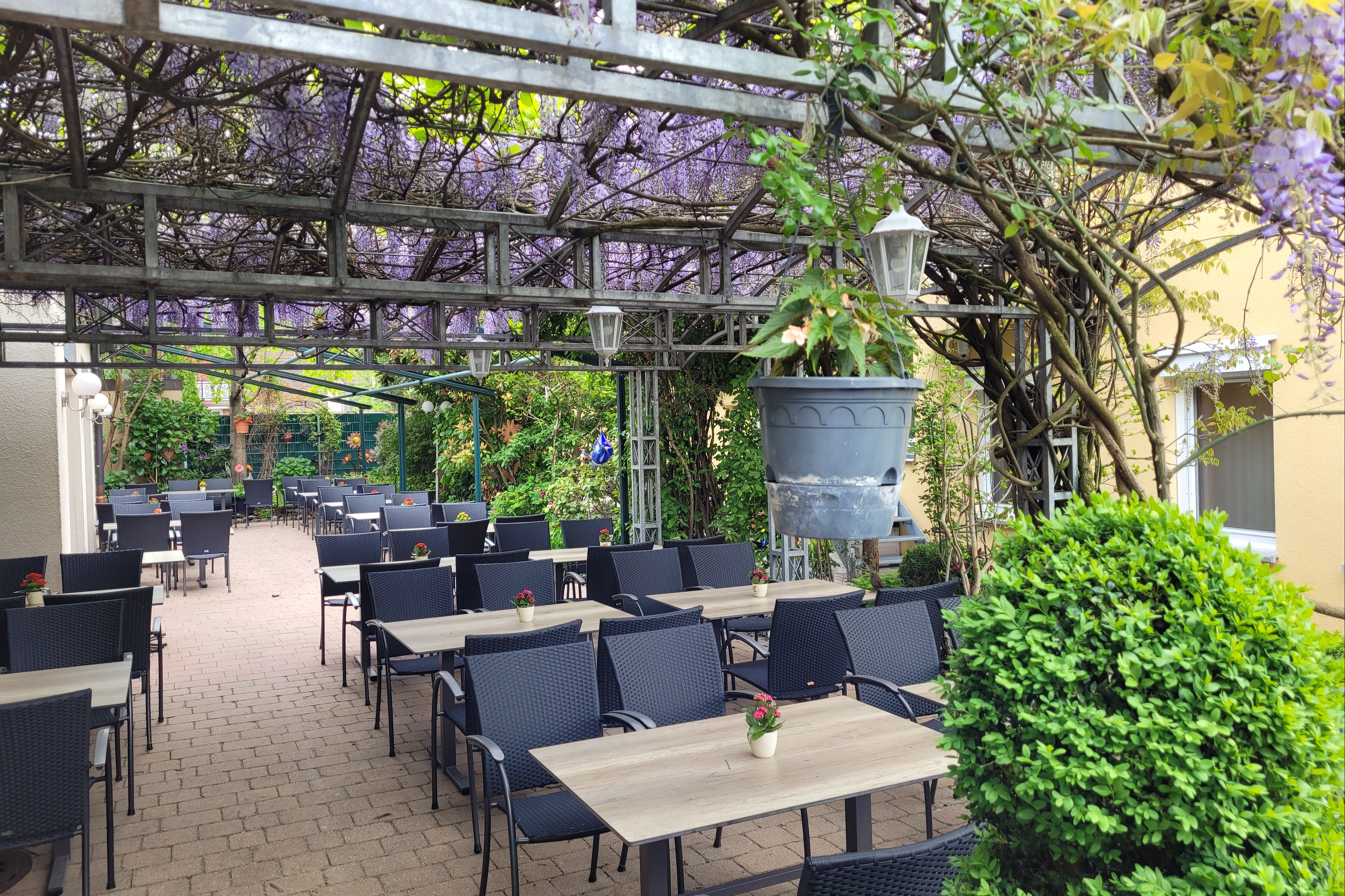 Hotel Adlerbräu GmbH & Co.KG