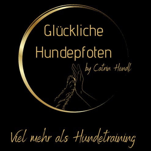 Glückliche Hundepfoten - viel mehr als nur Hundetraining