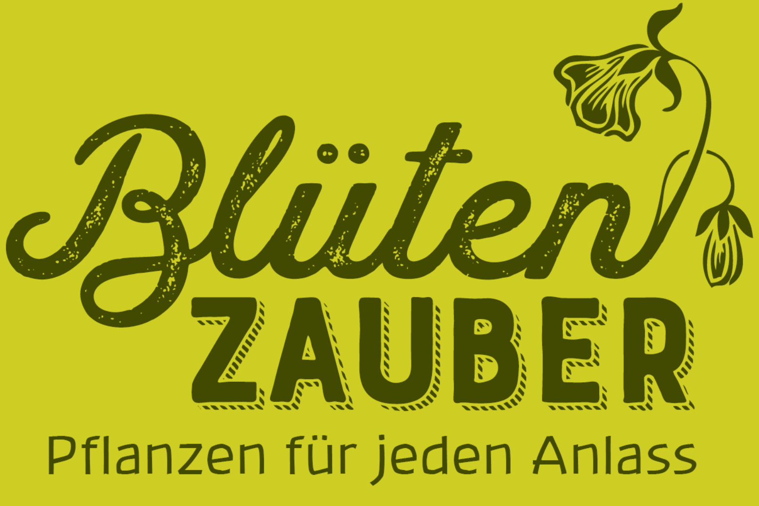 Blütenzauber, Natascha Hachenberg