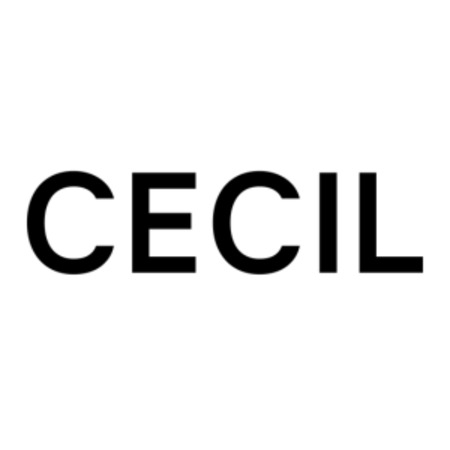 Cecil Store