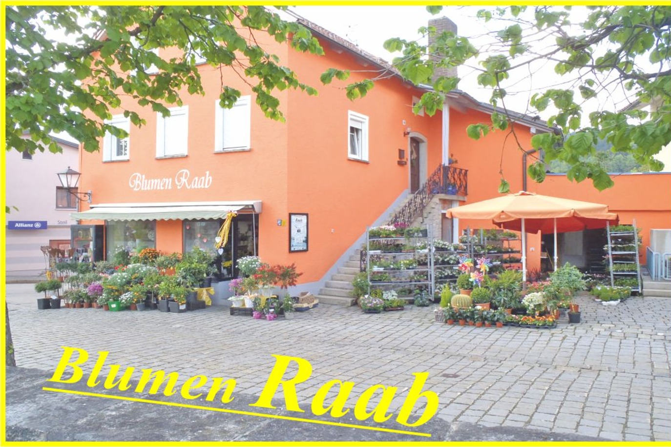 Blumen Raab
