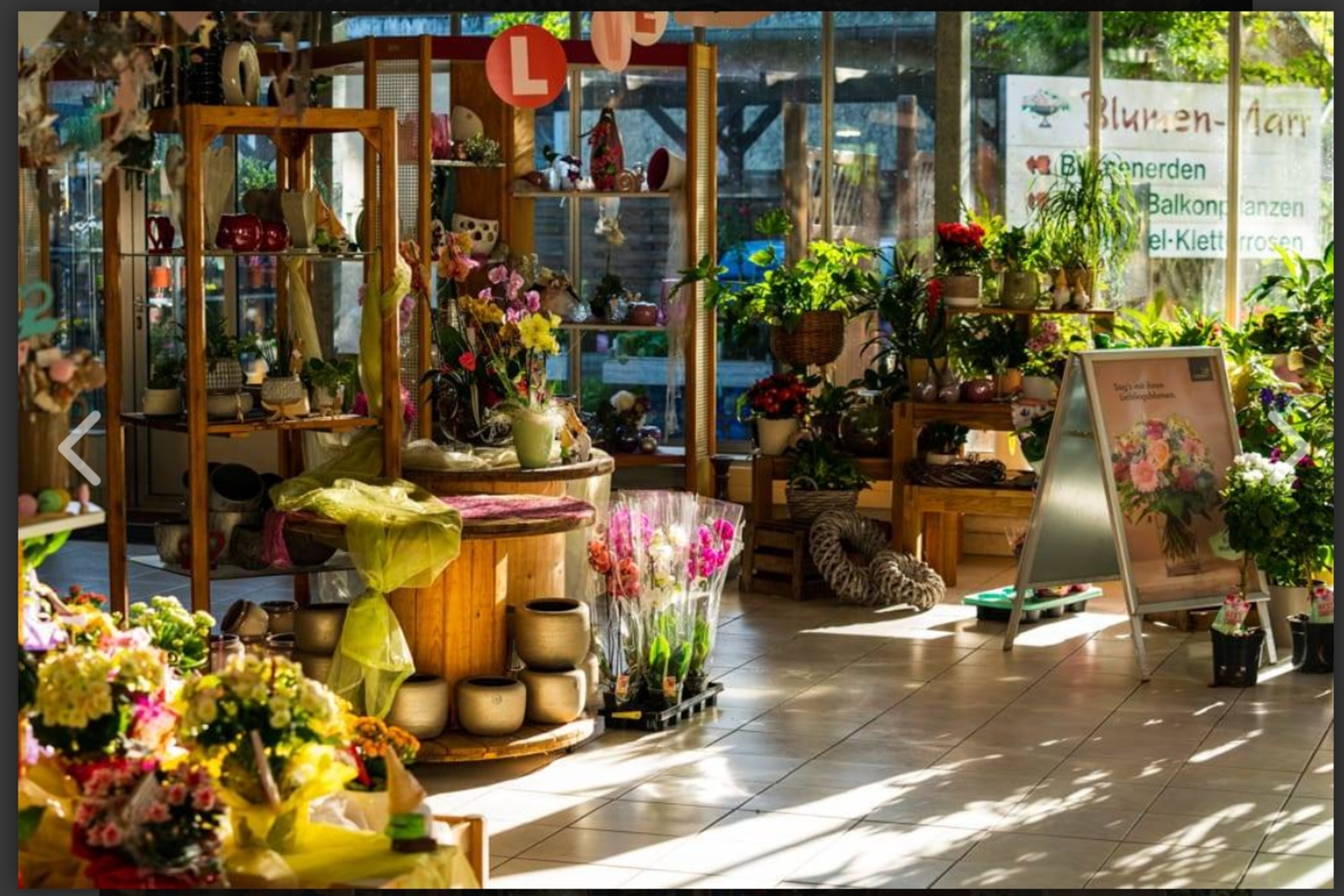 Blumen Marr