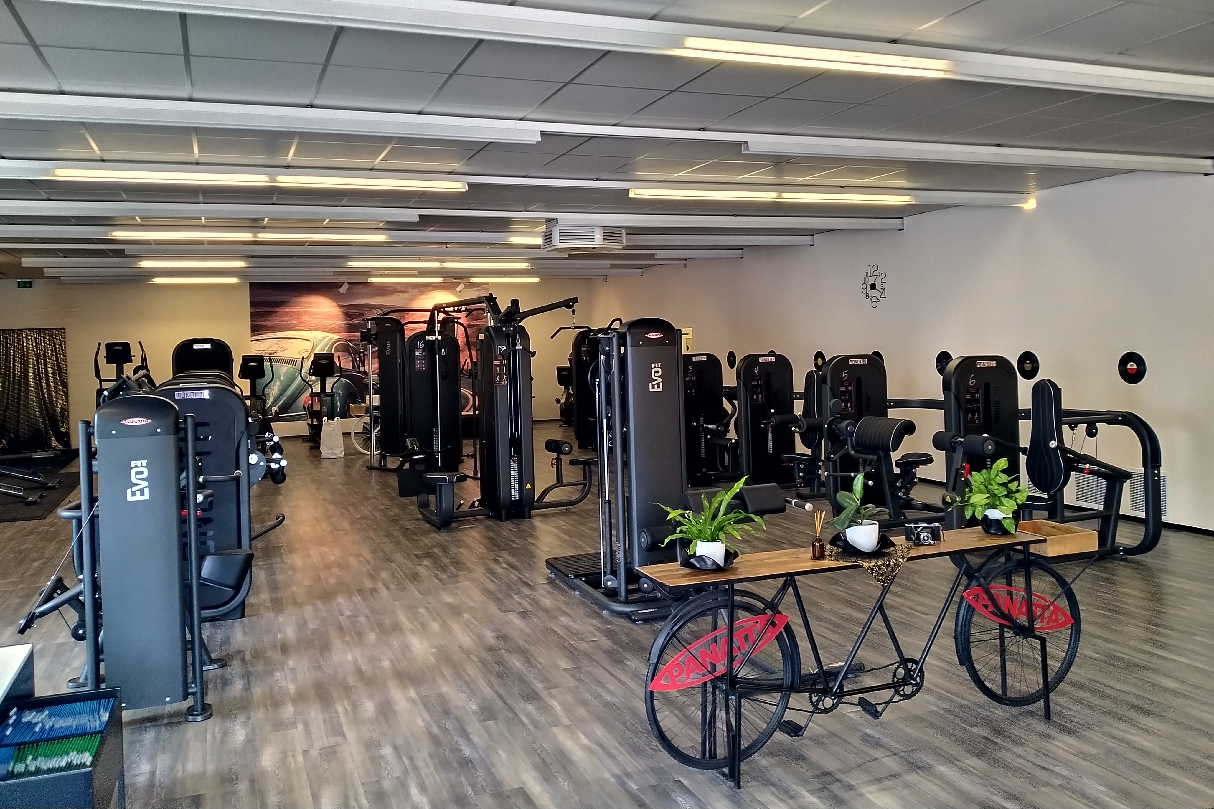 BewegDich Zentrum für Fitness, Rehasport & Lichttherapie