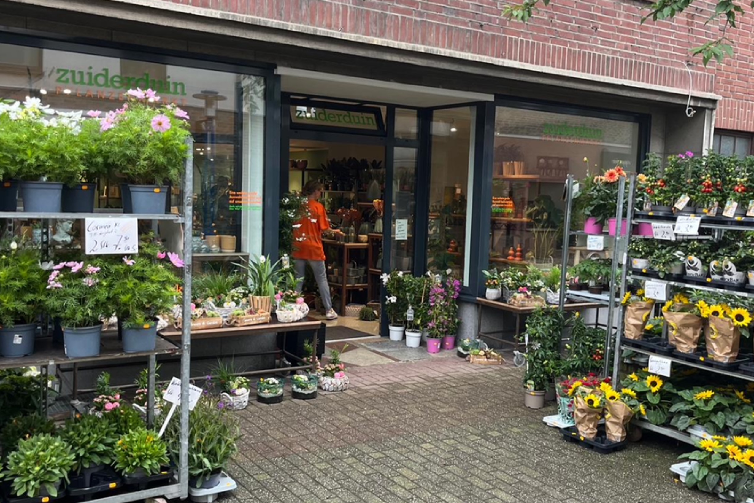 Pflanzenmarkt Zuiderduin