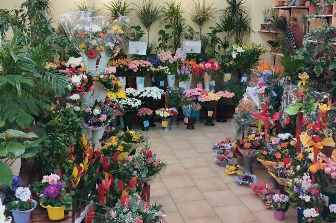 Blumenstübchen