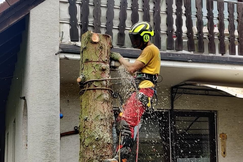 Baumpflege Östreicher