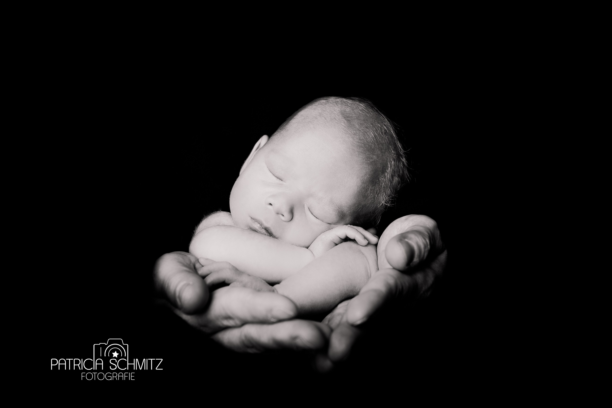 Patricia Schmitz Fotografie