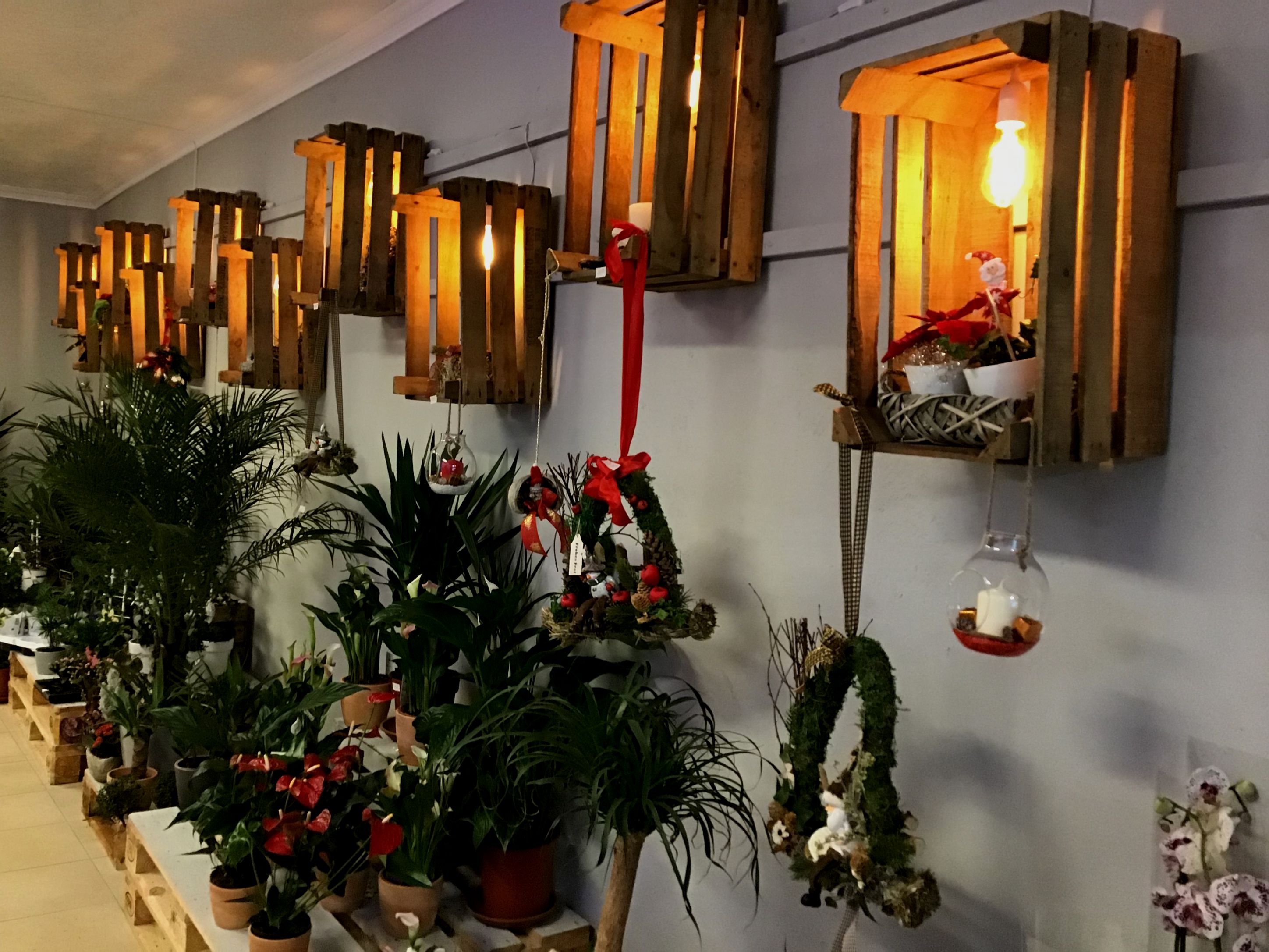 Blumen Oase Willich Gutscheine Blumen Oase Willich Gutscheine