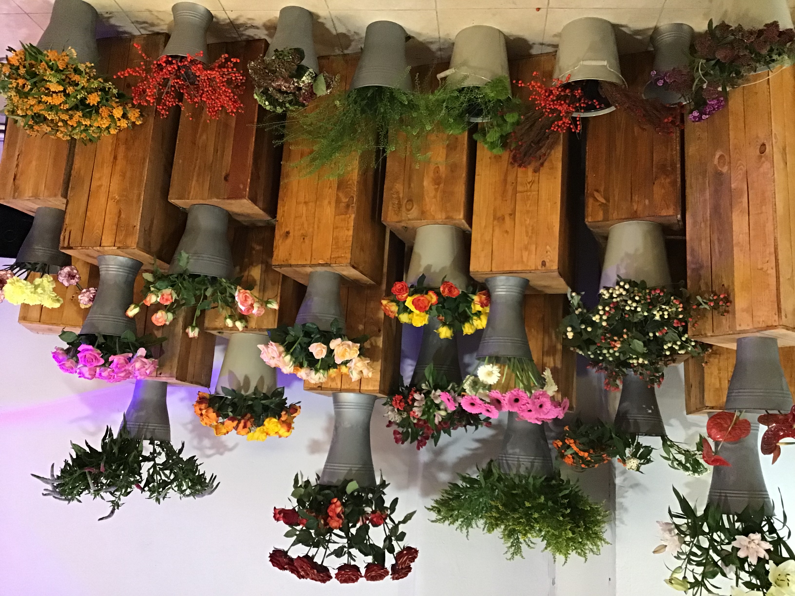  Blumen Oase  Willich Gutscheine