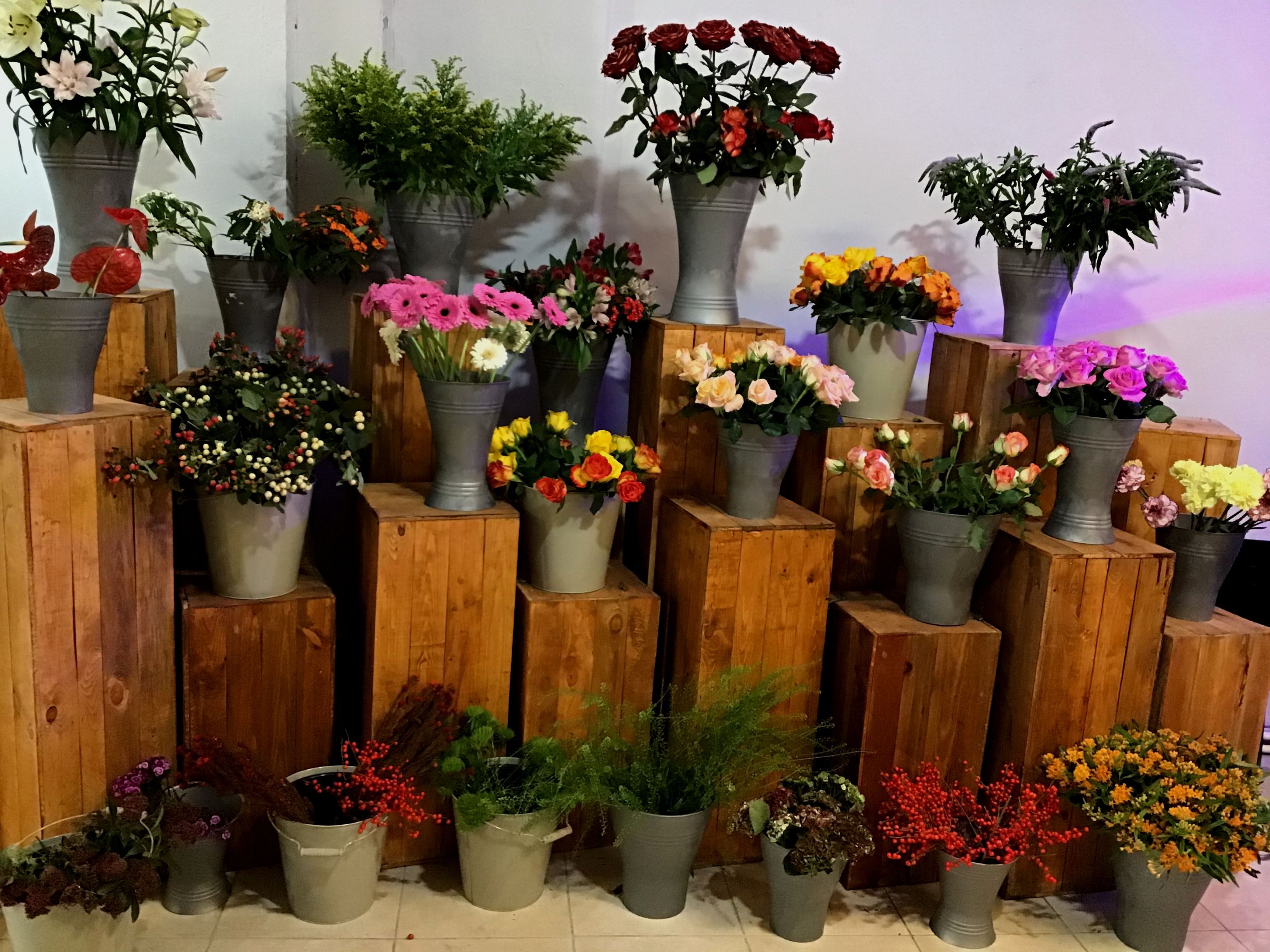 Blumen Oase Willich Gutscheine Blumen Oase Willich Gutscheine