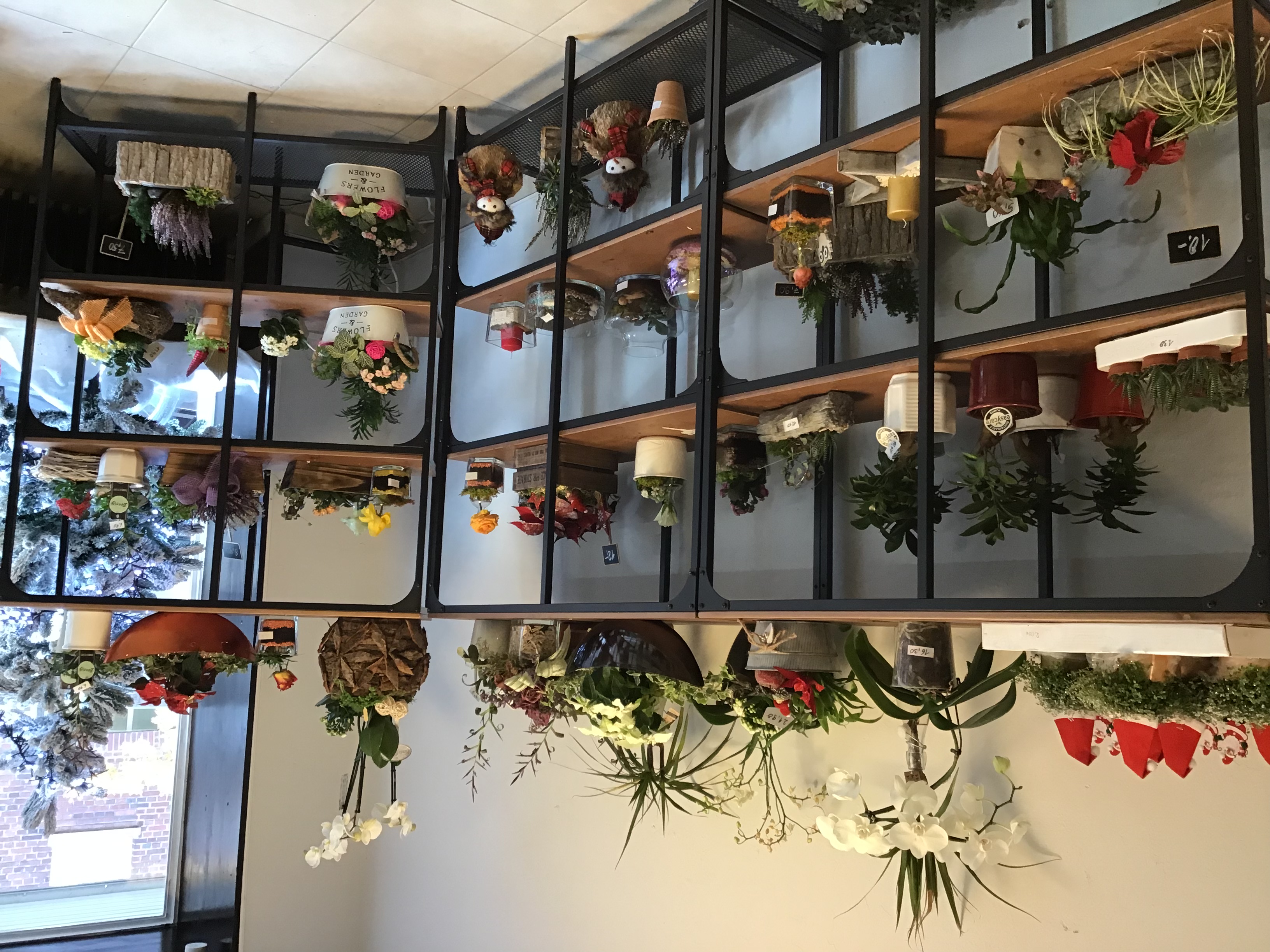  Blumen Oase  Willich Gutscheine