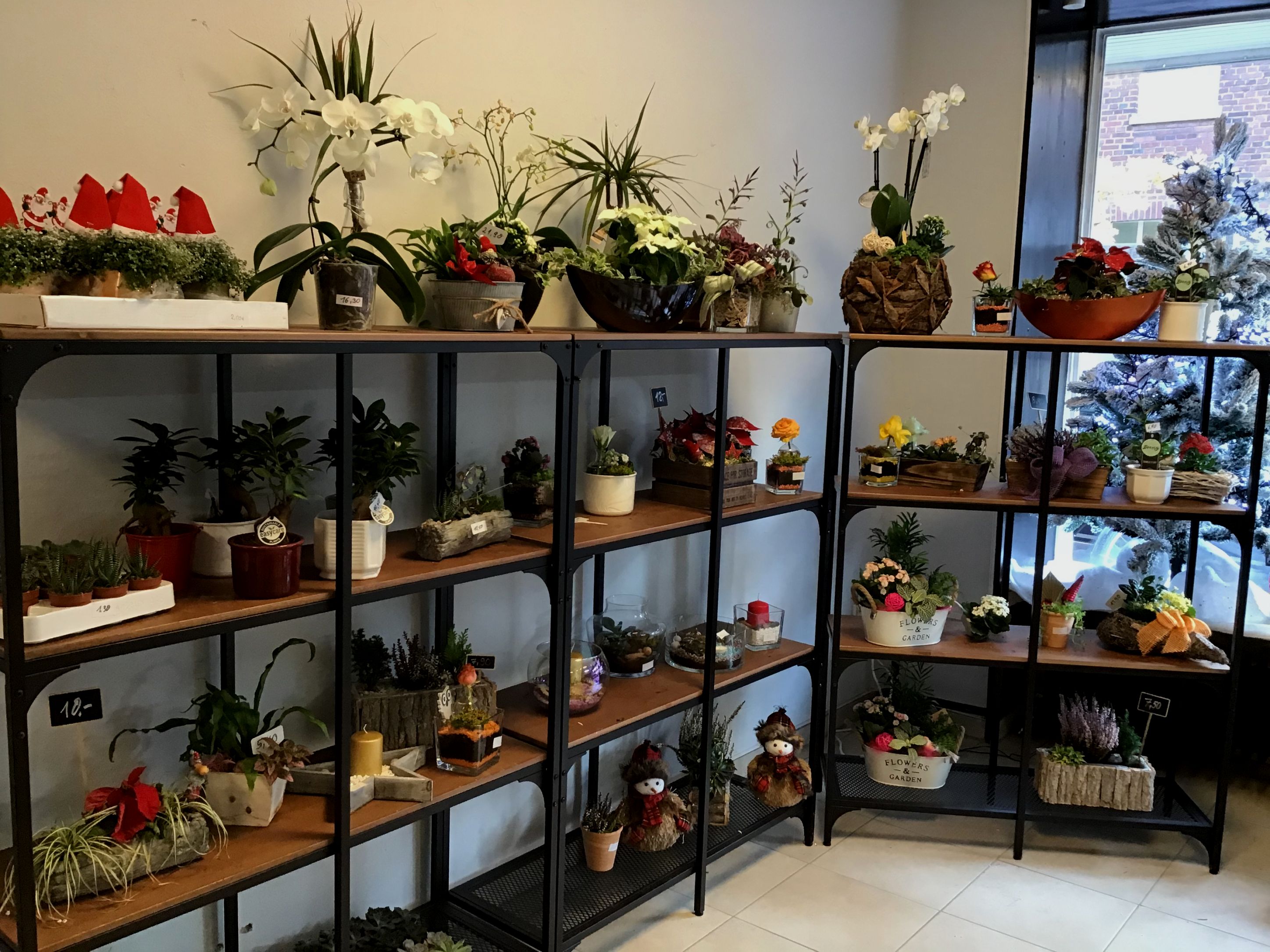 Blumen Oase Willich Gutscheine Blumen Oase Willich Gutscheine