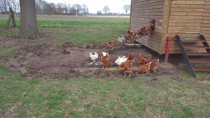 Hof und Hofladen Mersch