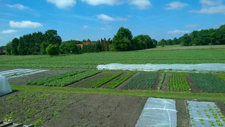 Hof und Hofladen Mersch