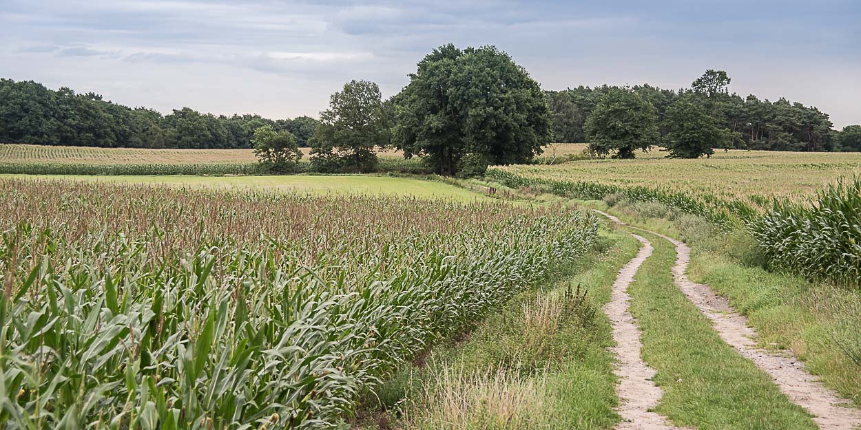 MedienFlotte Joachim Albrecht