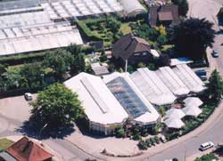 Blumen Weese - Floristik, Gärtnerei