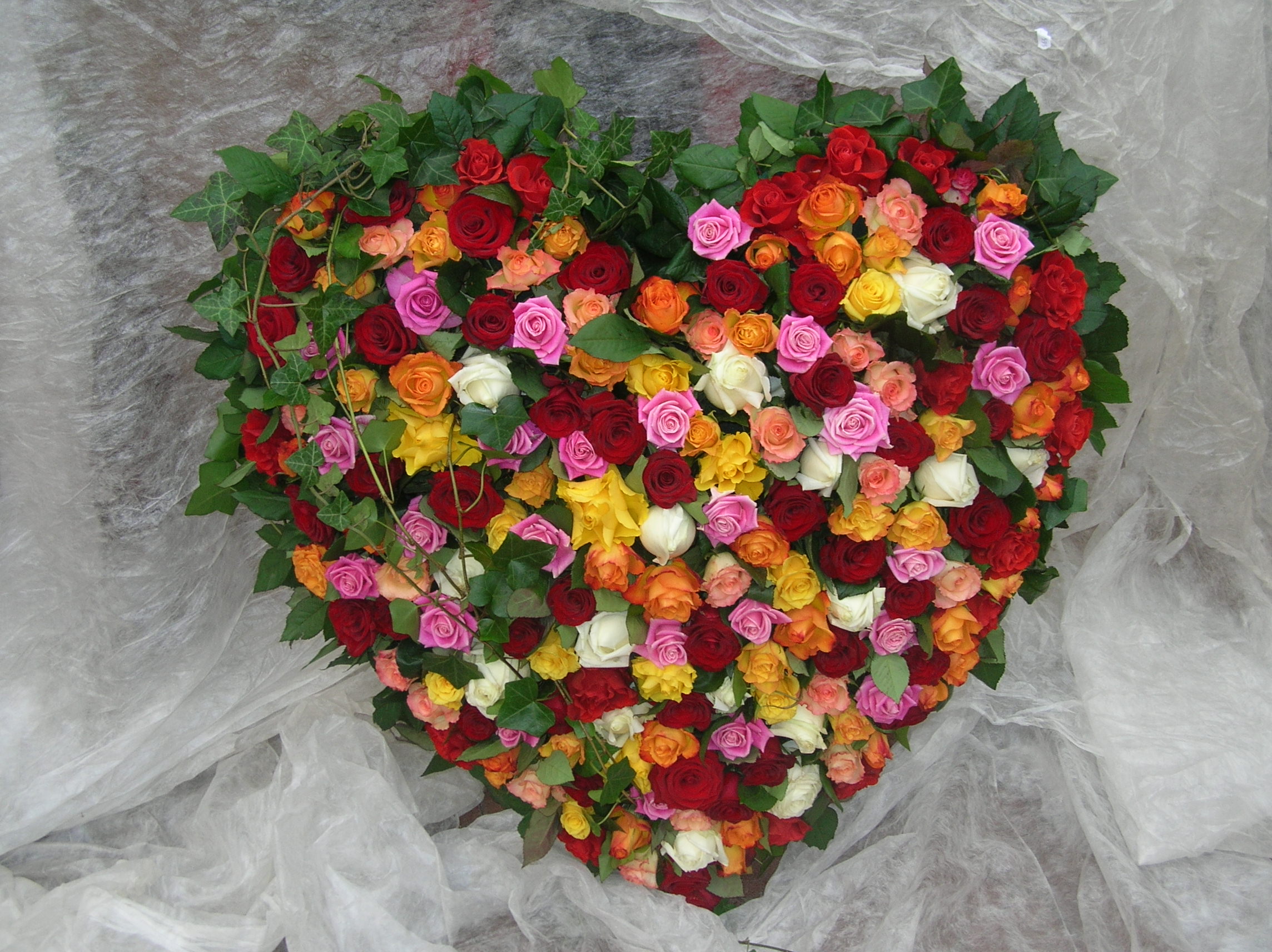 Blumen Weese - Floristik, Gärtnerei