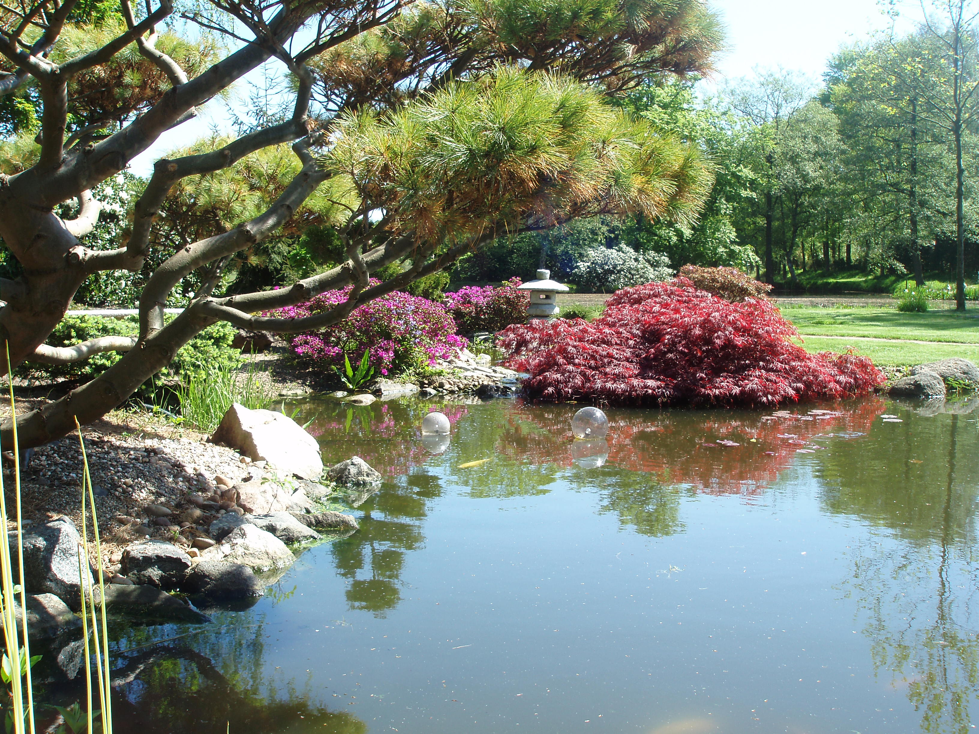 Holzapfel Gartengestaltung Wurster Nordseekuste Gutscheine