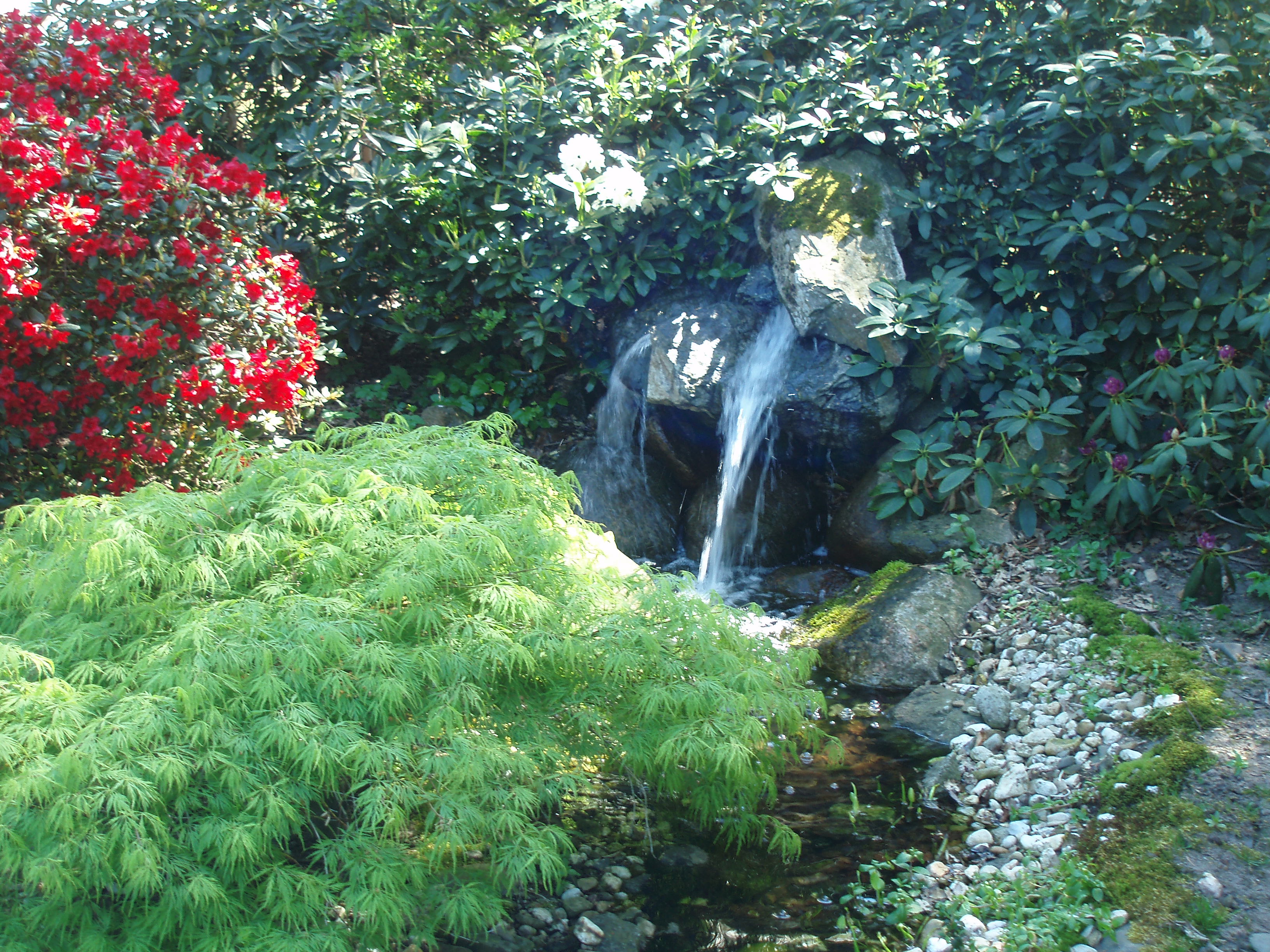 Holzapfel Gartengestaltung Wurster Nordseekuste Gutscheine