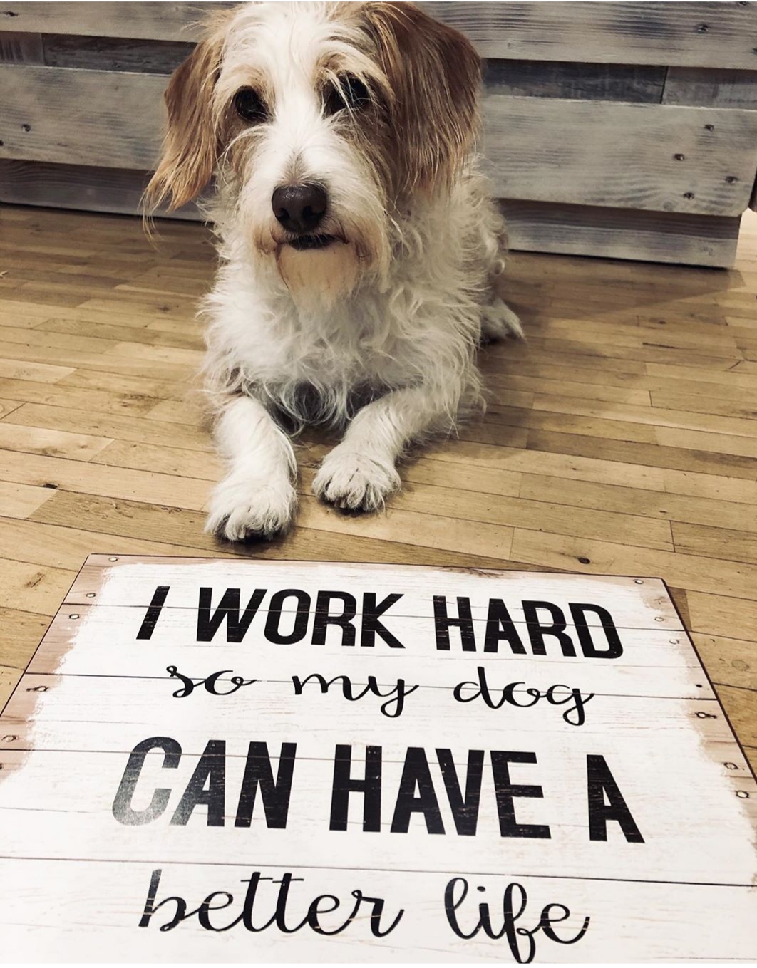 Hereinspaziert Lippstadt Gutscheine