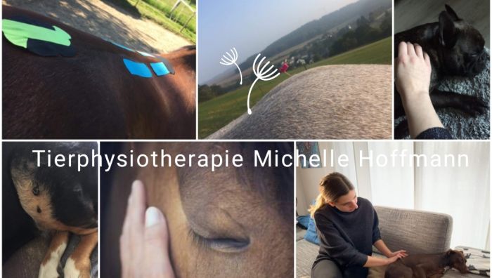 Tierphysiotherapie Michelle Hoffmann