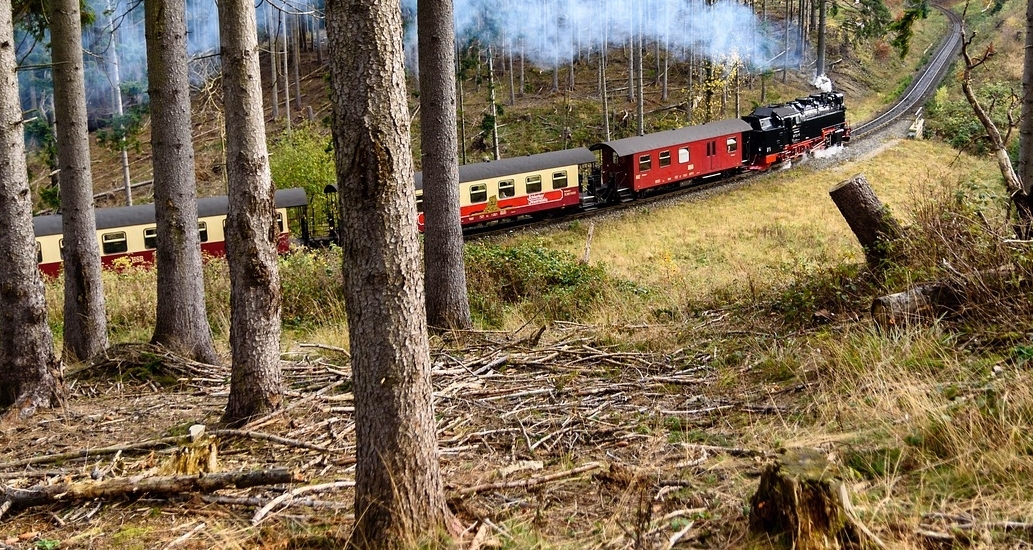 Berglust Braunlage Ferienwohnungen & Ferienhäuser