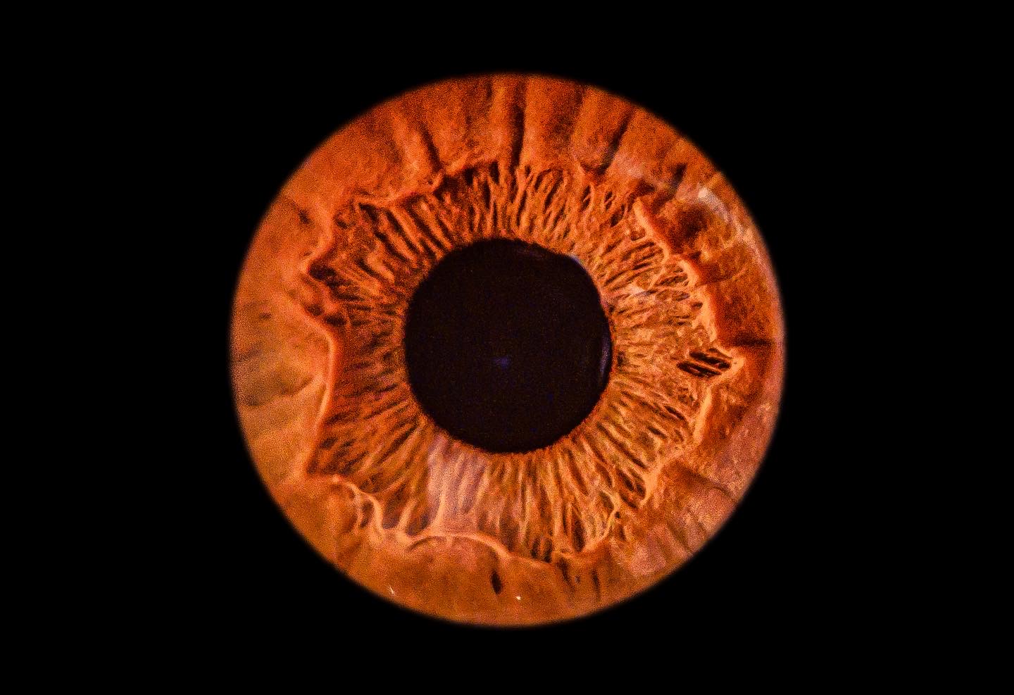 Jens Engel Fotografie & Videoproduktionen