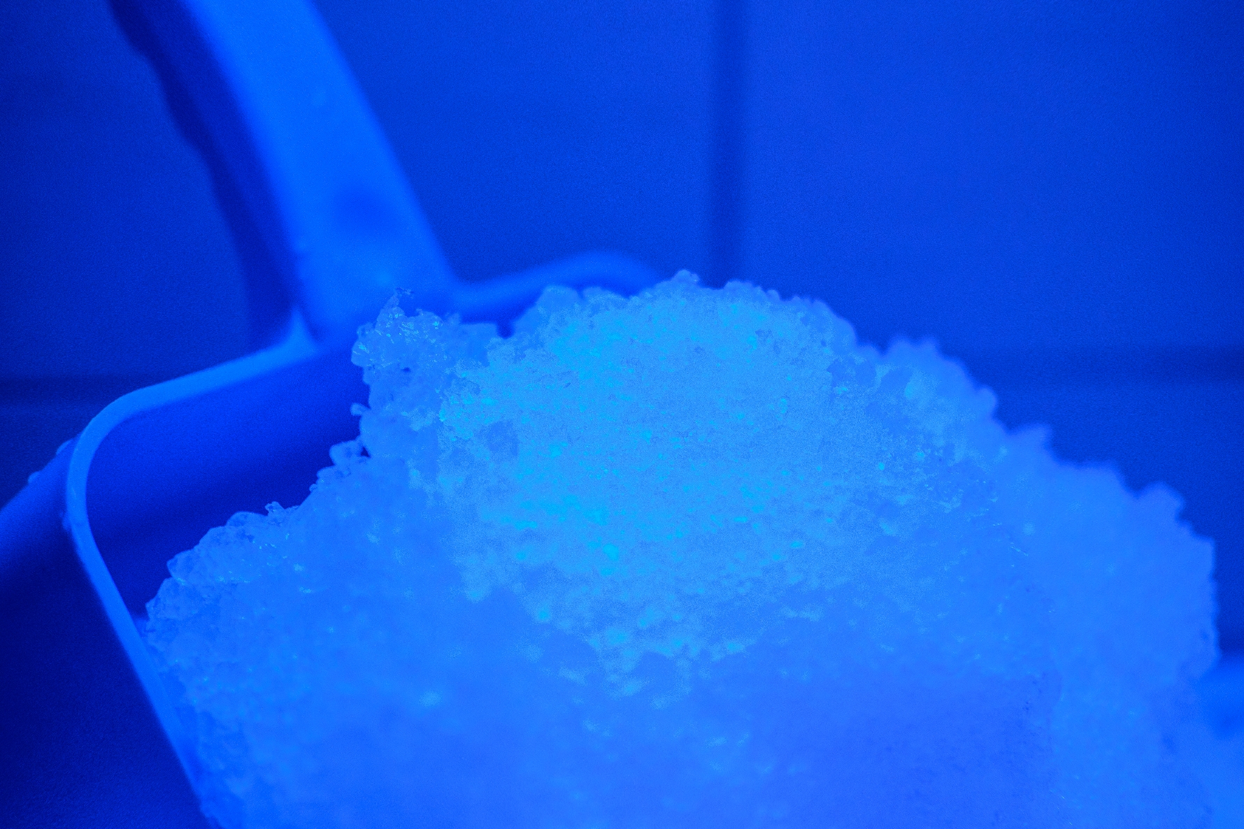 Hotel Walpurgishof SPA + Wellness