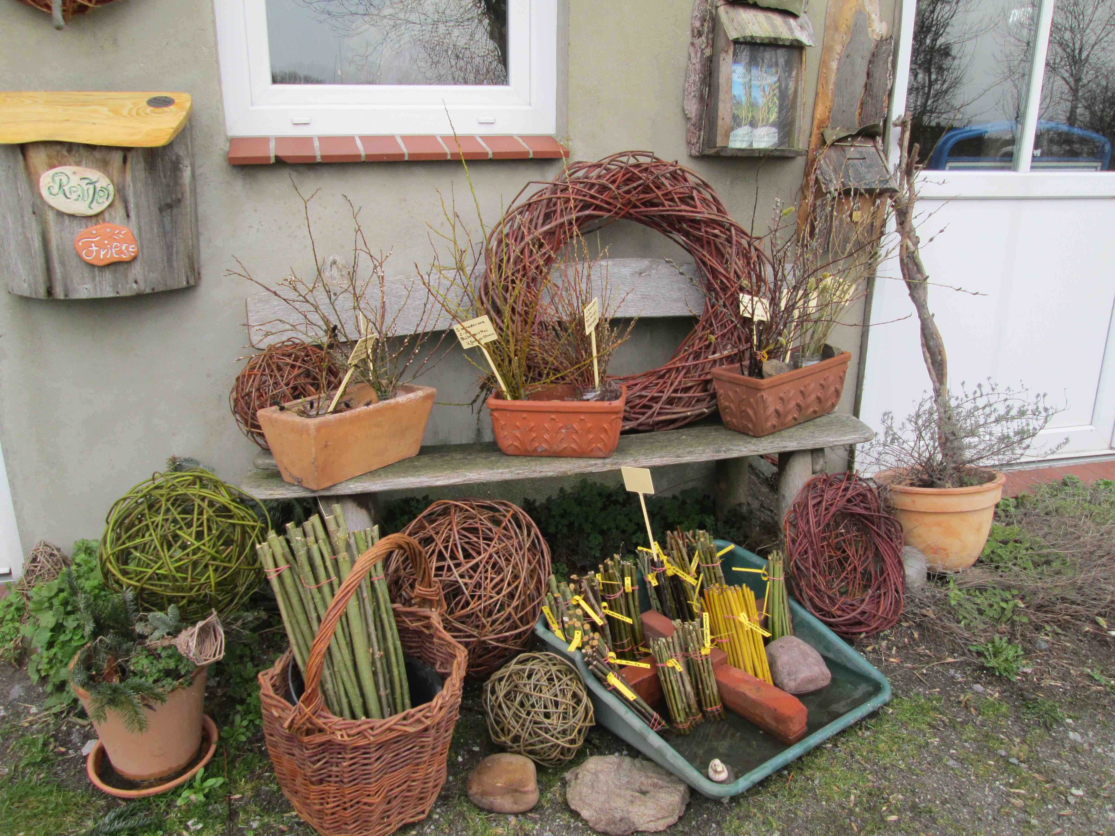 Weidenzentrum Wurster Nordseeküste