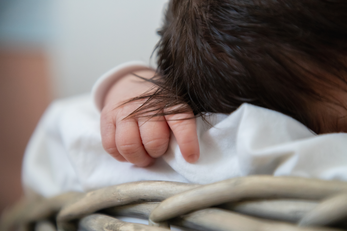 Sandkörnchen Fotografie