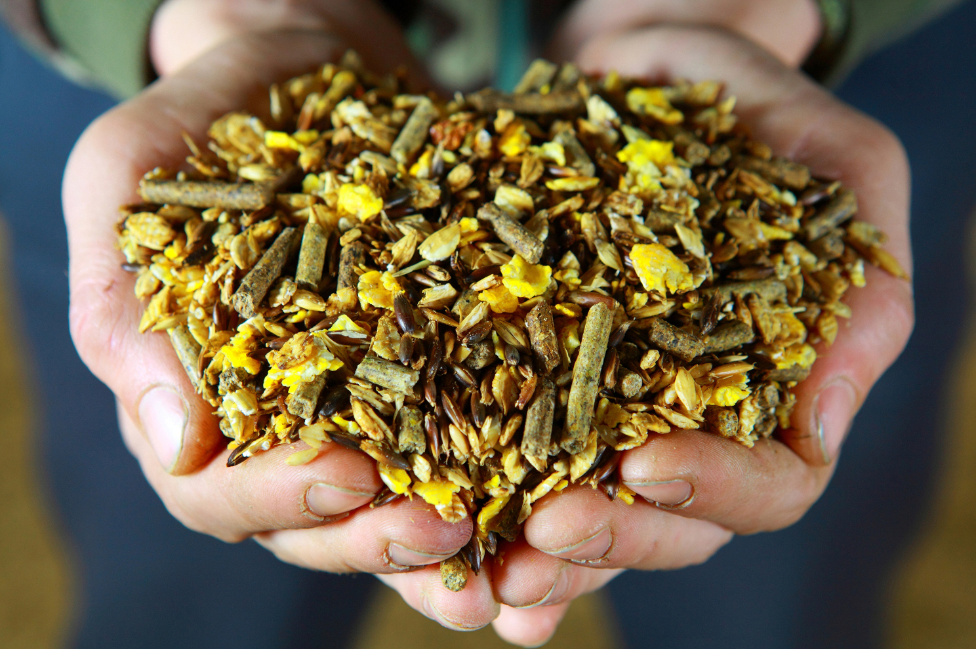 pegasuswork.de Tierfutterbedarf mit Lieferservice