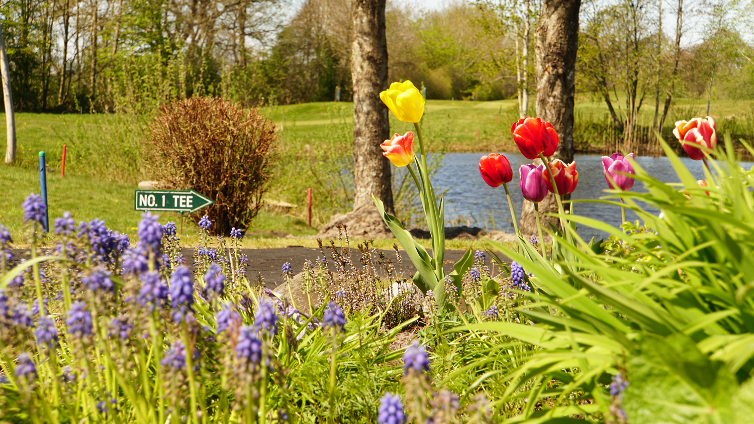 Golf Gut Hainmühlen