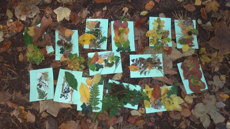 Blitz-naturerlebnis /Holger Bublitz