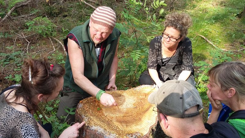 Blitz-naturerlebnis /Holger Bublitz