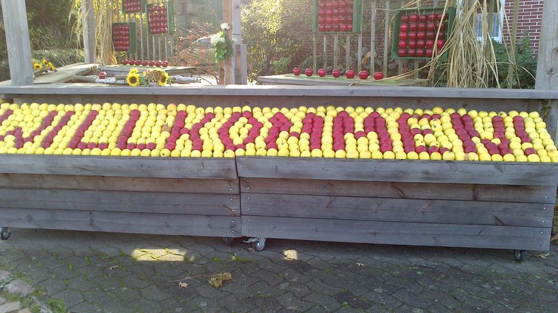 Blitz-naturerlebnis /Holger Bublitz