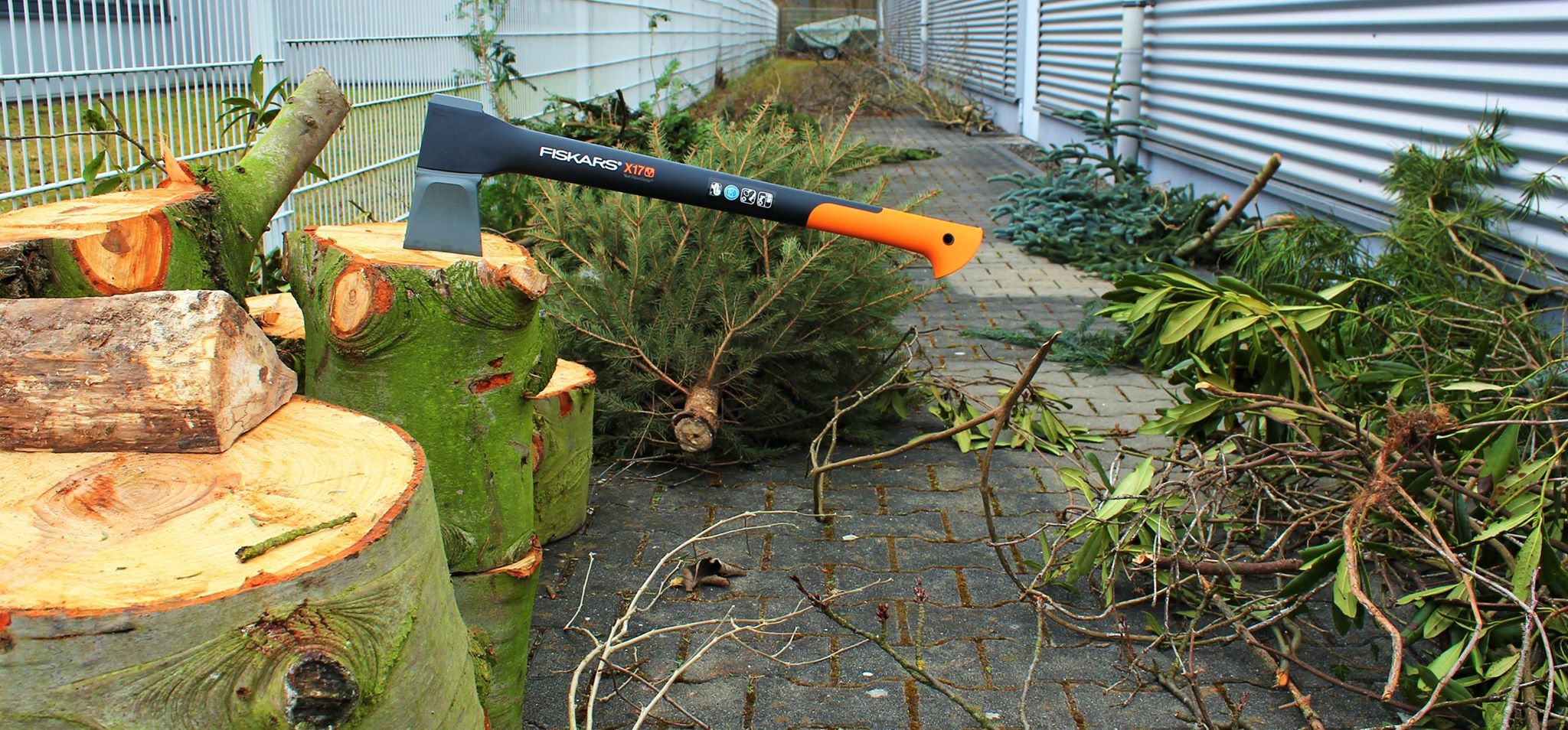 Pet. Casp. Hch. Fischer