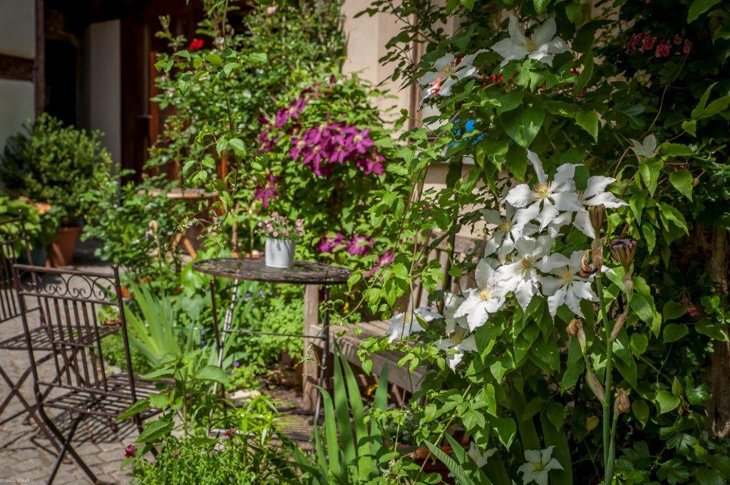 Antje Wiech - Best of photografisch