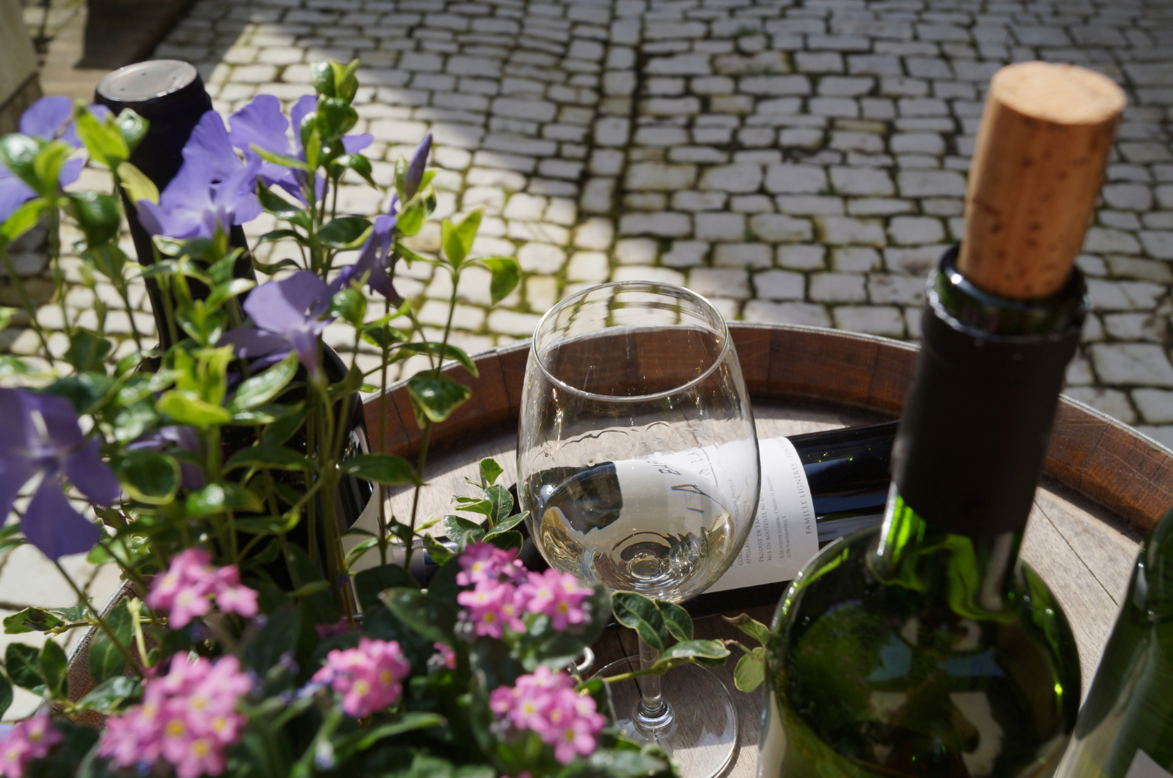 Feine Weine, Sekt & Secco