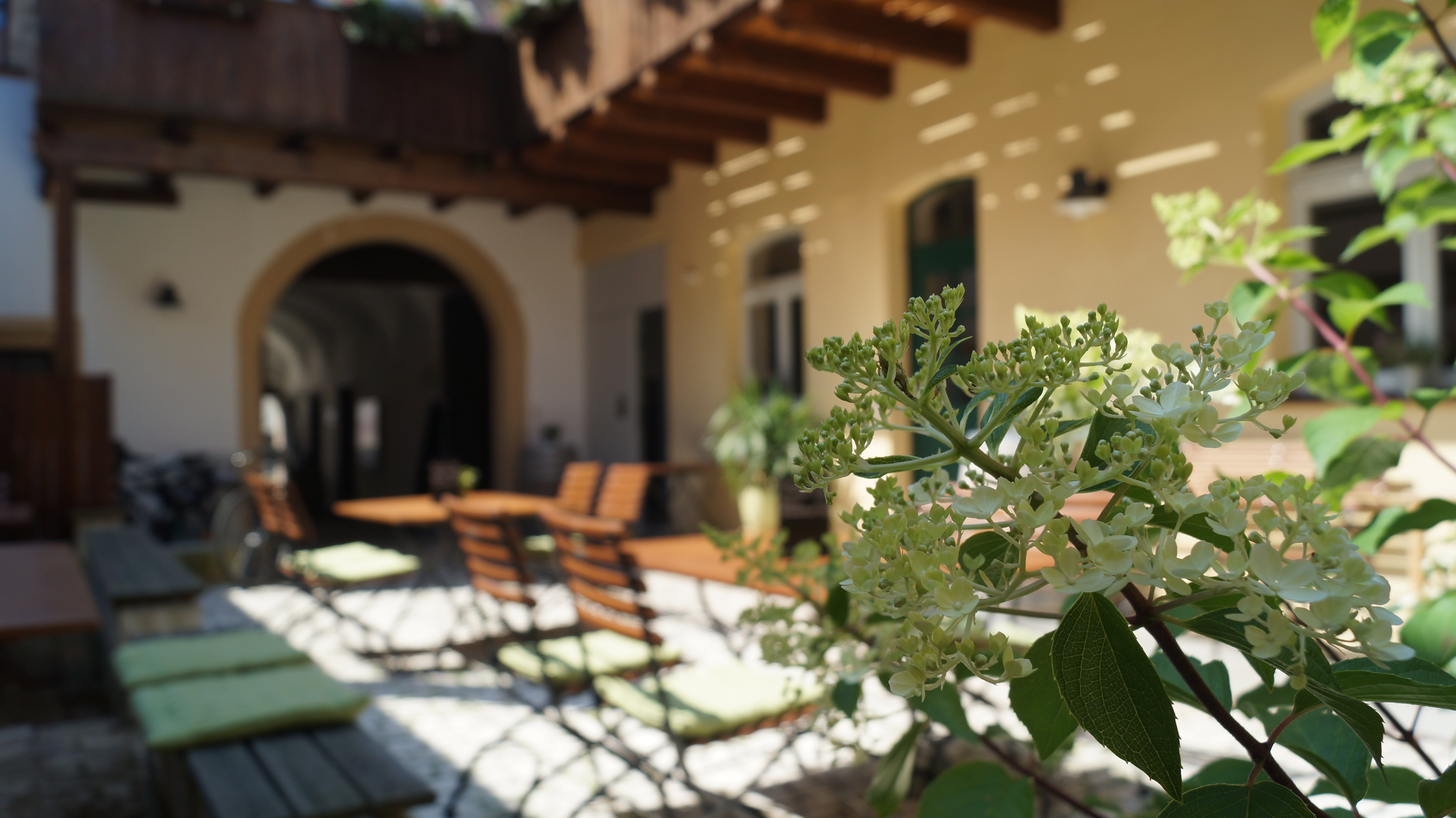 Feine Weine, Sekt & Secco