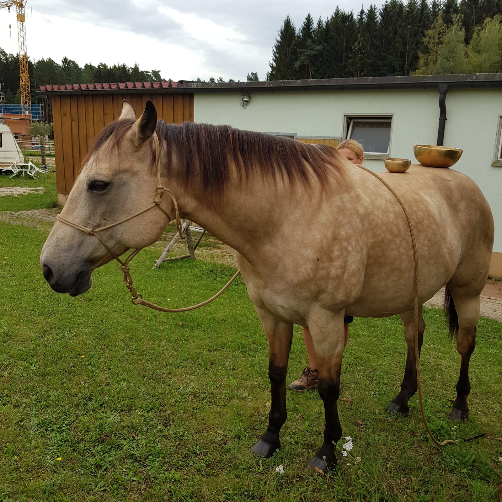 Herzklang Klangtherapie