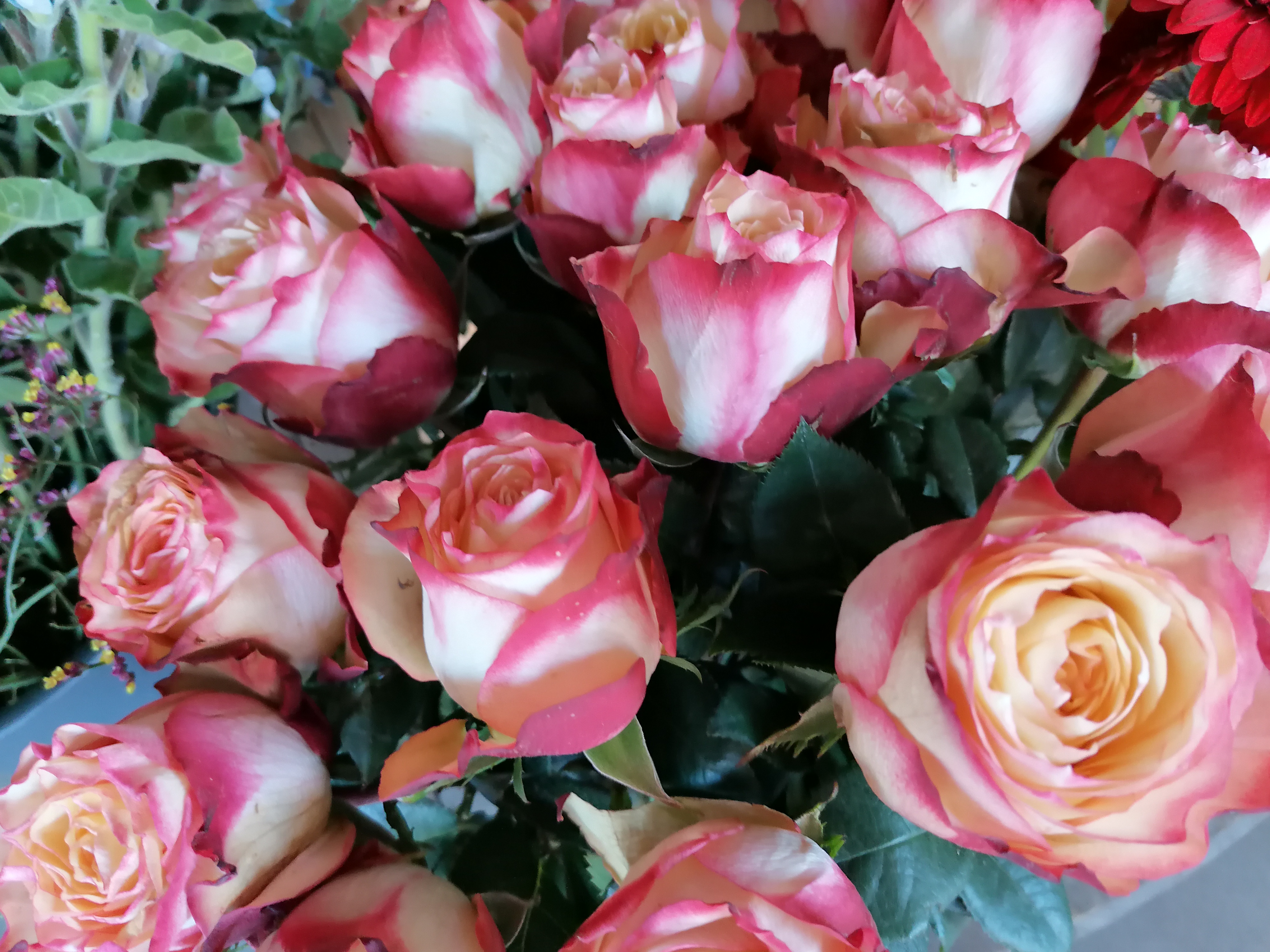 Blumen und Floristik Grave