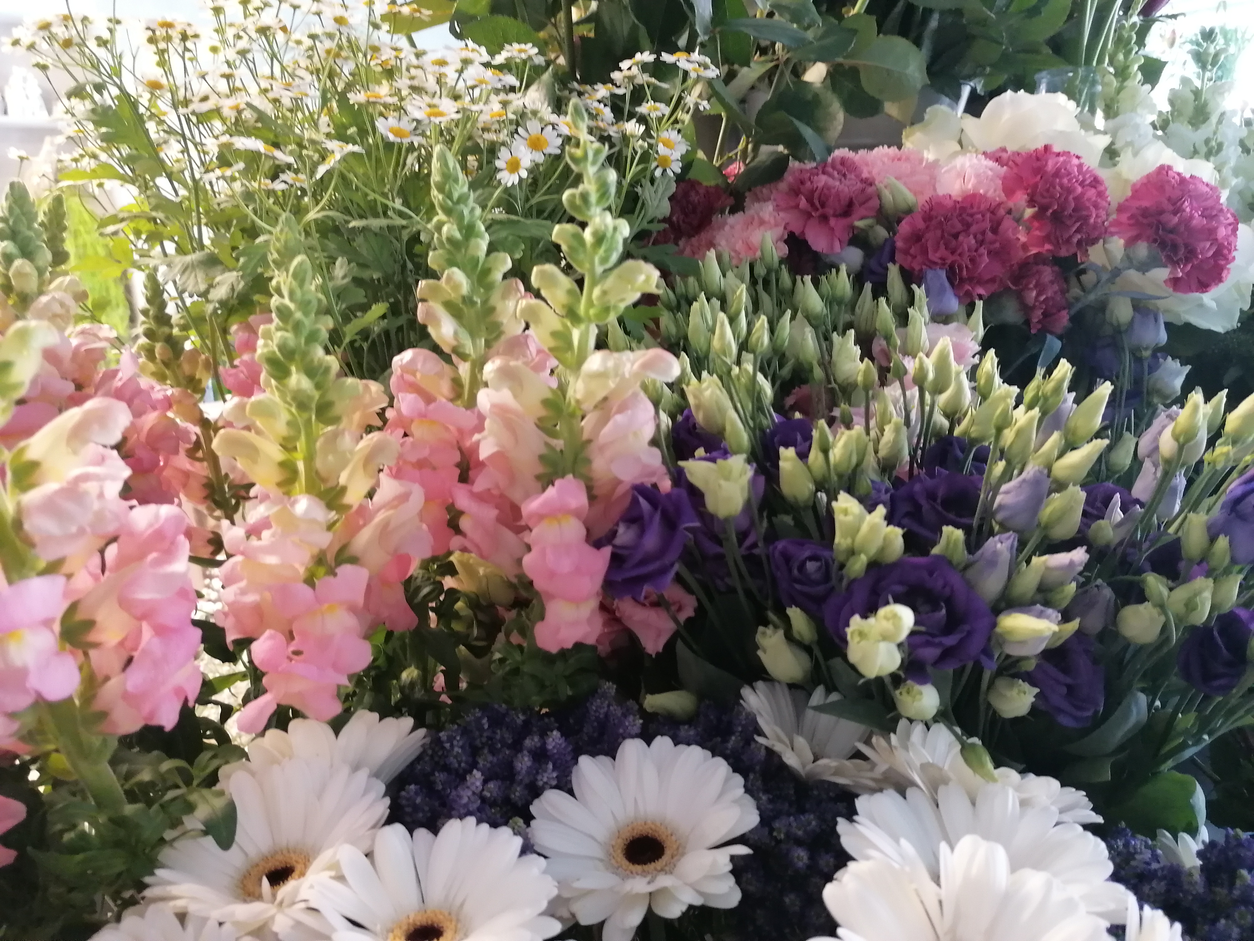 Blumen und Floristik Grave