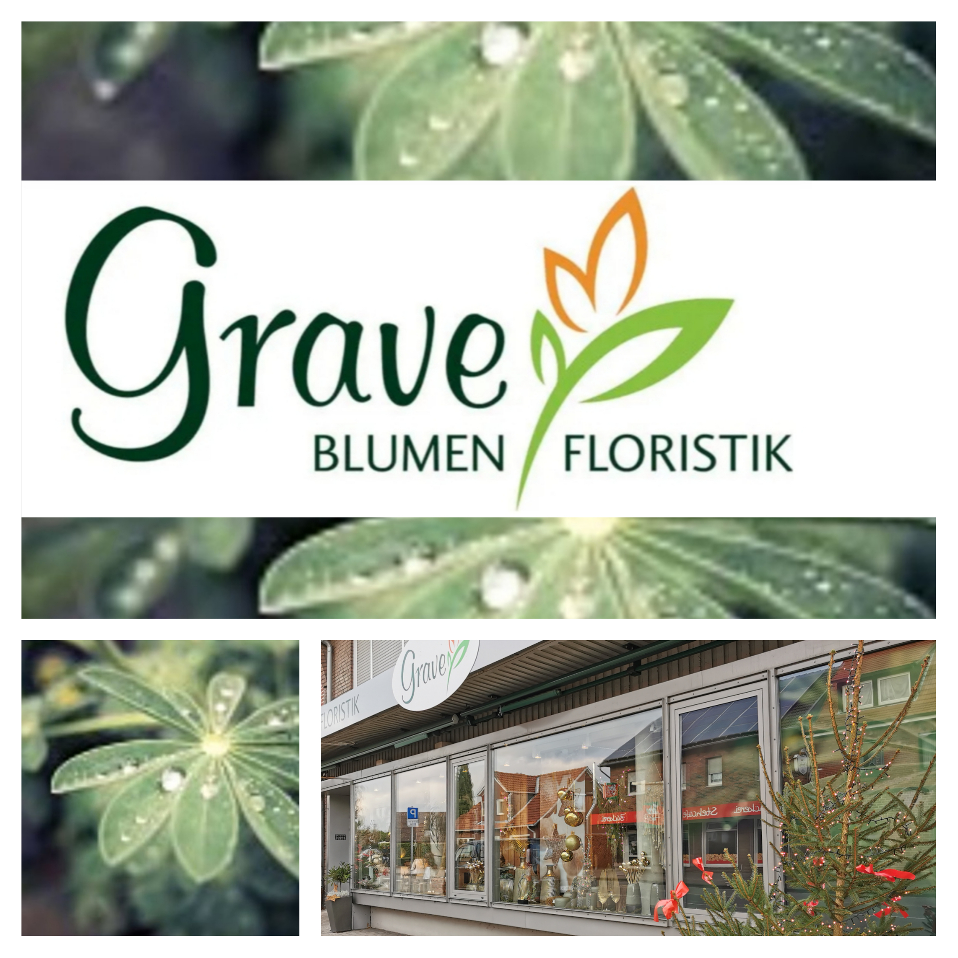 Blumen und Floristik Grave