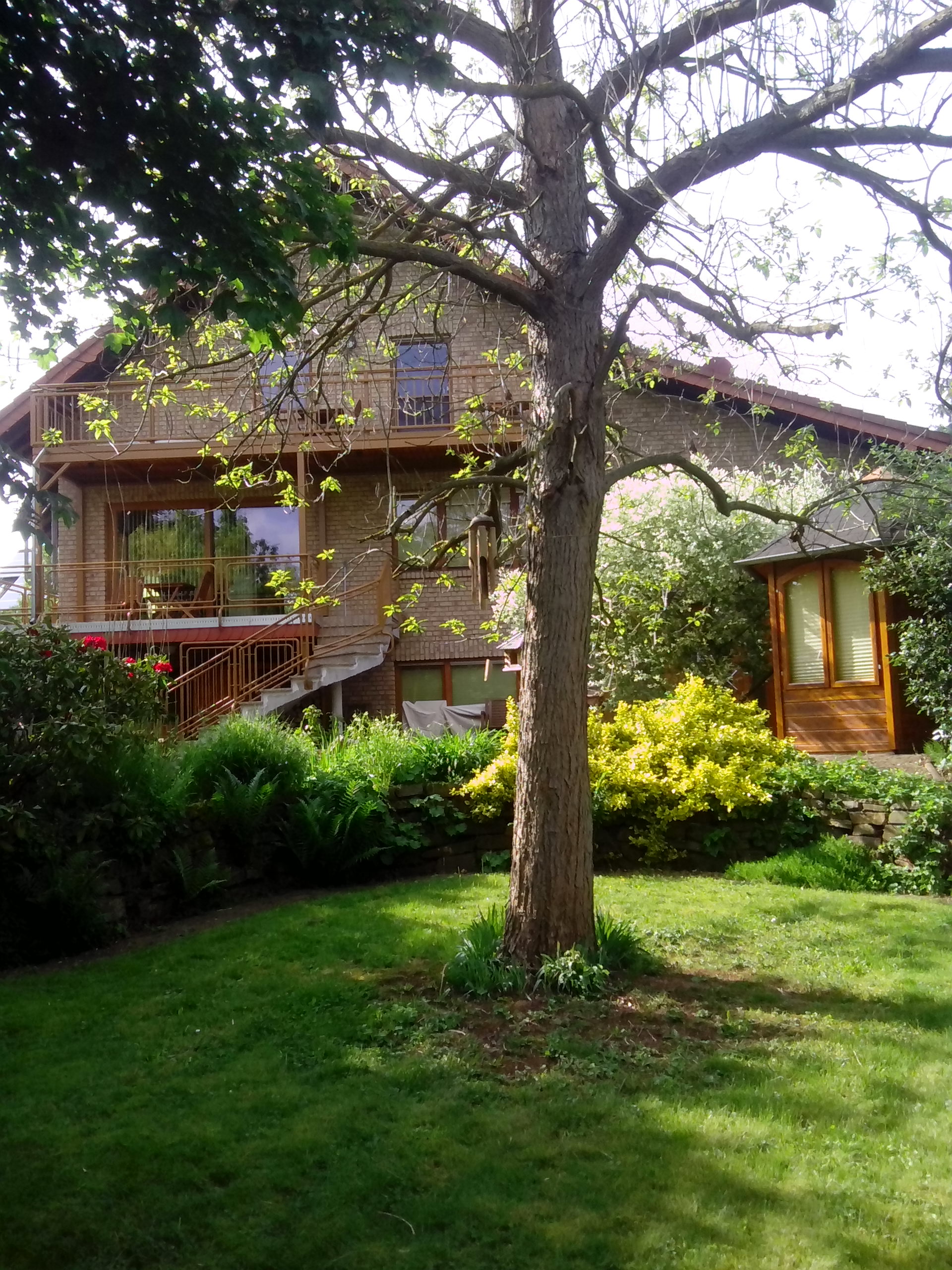 Wellness-Oase, Inge Bartsch, Ayurveda Therapeutin