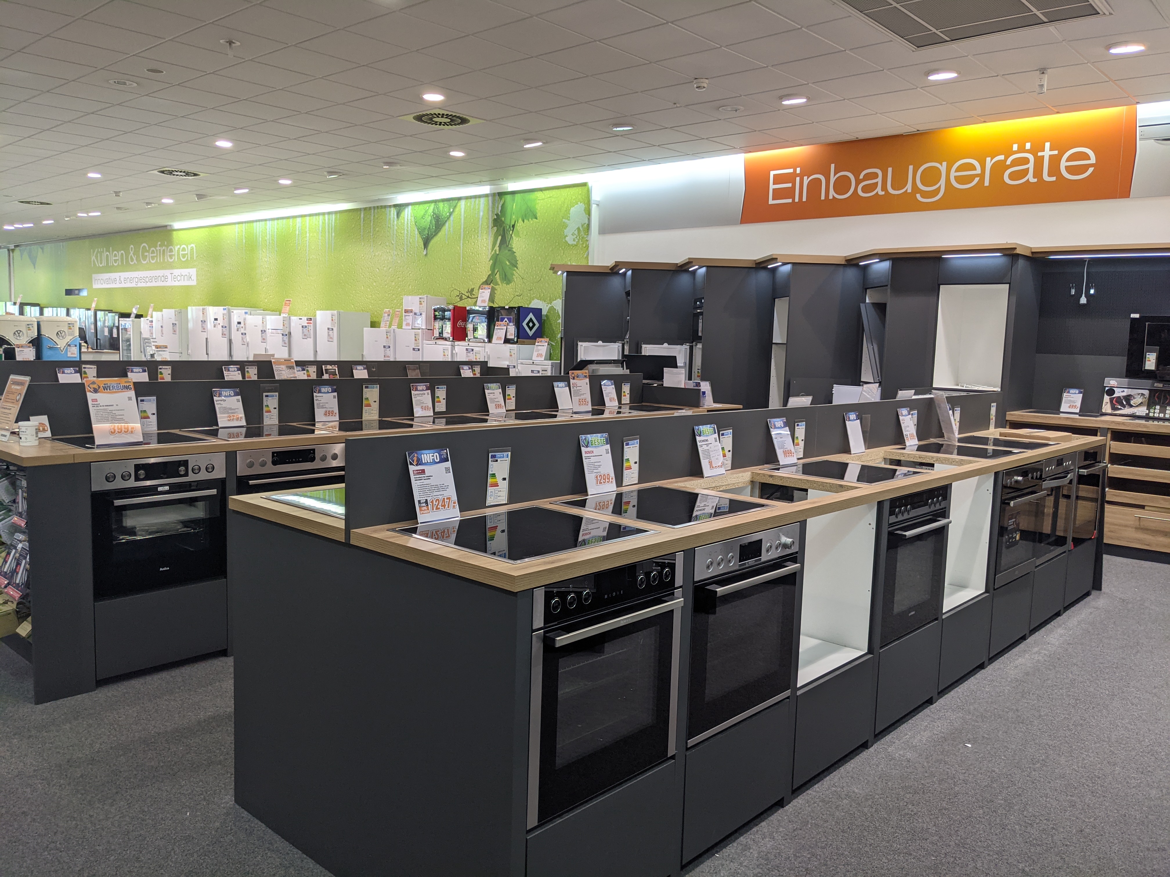 Expert Bening Bohmsiel